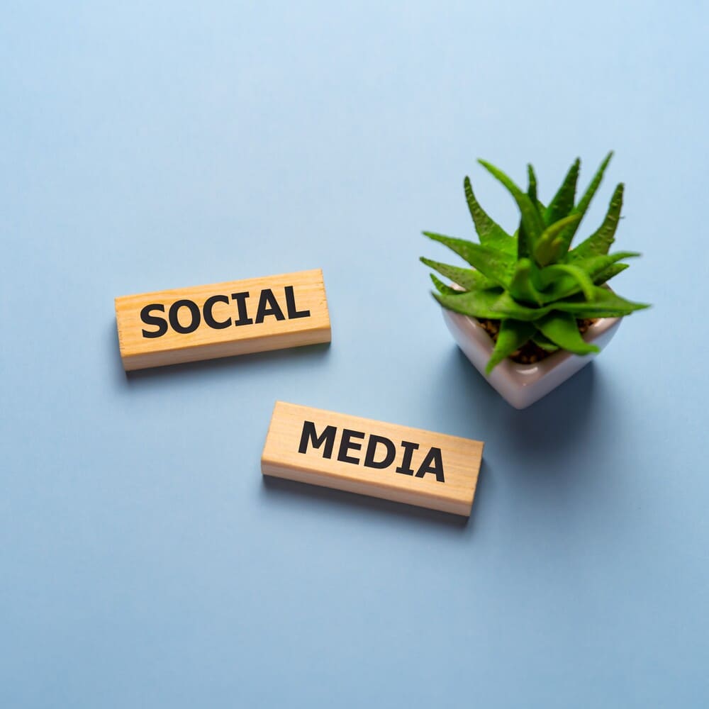 Social media scrabble and potted plant